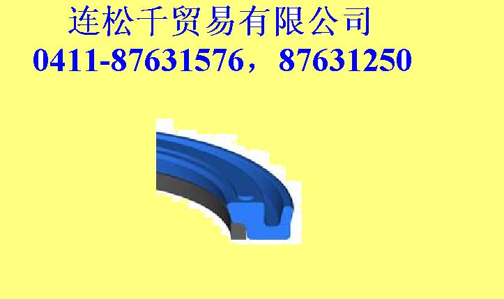 polyseal密封 polyseal密封