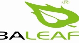 八叶（厦门）新能源科技有限公司