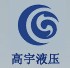 浙江高宇液压机电有限公司