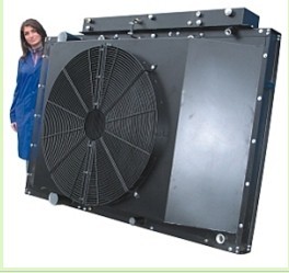 意大利RAAL散热器 齐全