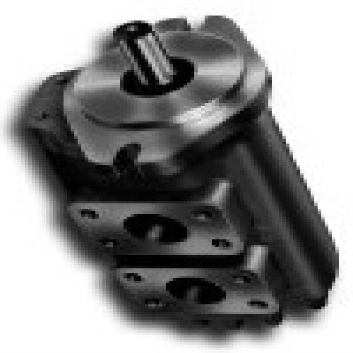 (现货)G5双联齿轮泵 G5-**-**-* *(*)** *-20-*