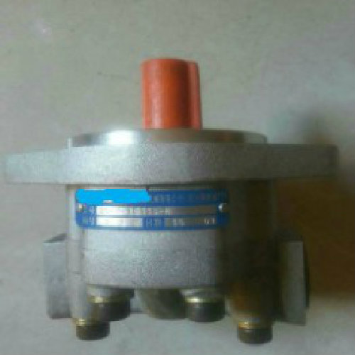 (现货)G5齿轮泵 G5-(排量)*-*(轴伸)** *-20-*