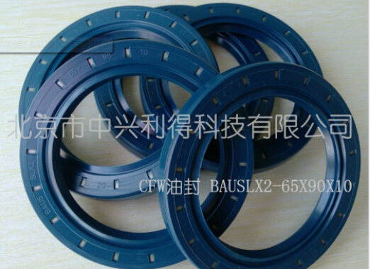 Simrit/CFW BAUSLX2型骨架油封 BAUSLX2