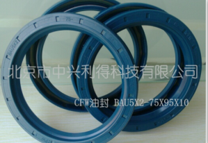 Simrit/CFW BAUX2型骨架油封 BAUX2