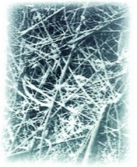 气／液 聚结分离滤芯 HC9020FKP4Z