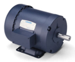 美国利森LEESON电机