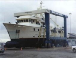 美国船用设备叉车(MARINE)15吨自行式龙门吊 15BFM