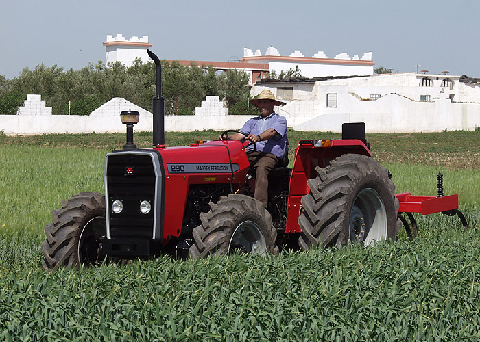 英国玛斯(MASSEY FERGUSON)内燃牵引车 MF200