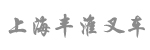 上海丰淮叉车机械