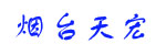 厦门叉车烟台天宏