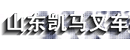 山东凯马叉车