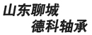 山东省聊城市德科轴承有限公司