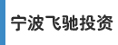 宁波飞驰投资有限公司
