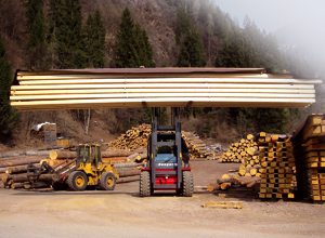 奥地利Ranger 越野叉车