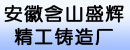 安徽省含山县盛辉精工铸造厂