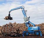 德国富奇(TEREX|Fuchs)MHL 460木材抓举车 MHL 460