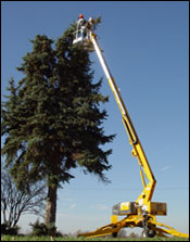 美国比艾尔-杰西(BIL-JAX)3632T Telescopic Boom Lift