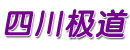 四川极道电装实业有限公司