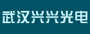 武汉市兴兴光电发展有限公司