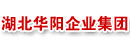 湖北华阳企业集团