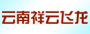 云南祥云飞龙电源有限公司
