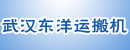 武汉东洋运搬机有限公司