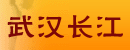 武汉长江有限责任公司
