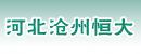 河北沧州恒大贸易公司