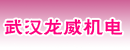 武汉龙威机电有限公司