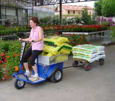 意大利(Zallys)JACK