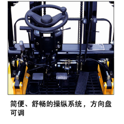 杭州H系列3吨液化石油气叉车 CPQD30H-W11A-Y