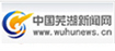 中国芜湖新闻网