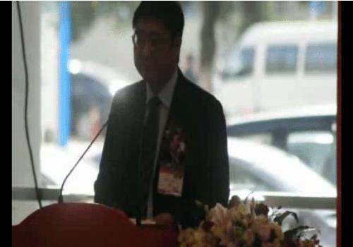 2011 CeMat开幕式（2）