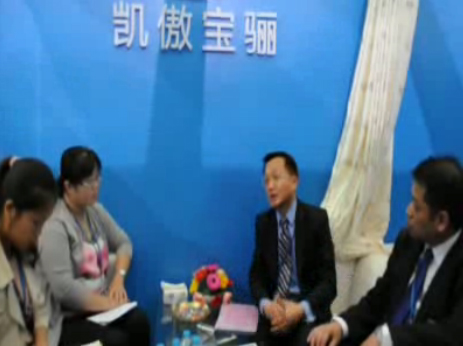 宝骊在2011 CeMat展览上5