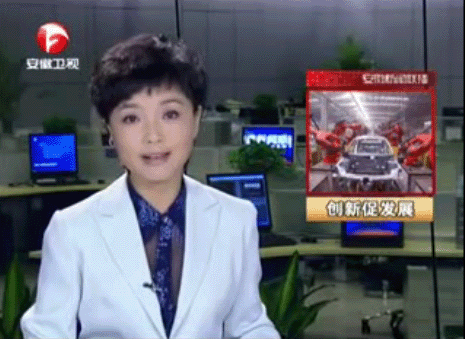 安徽卫视报道蓝博旺集团创新能力