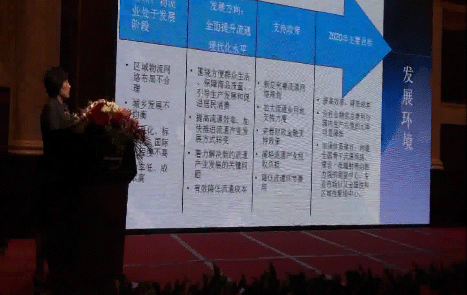 CITA秘书长张洁做“2012年国内外工业车辆市场概括”报告2