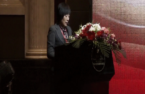 CITA秘书长张洁做“2013年工作计划”报告