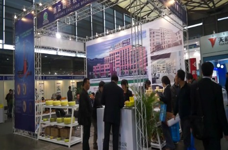 超洋在2012CeMat展会现场