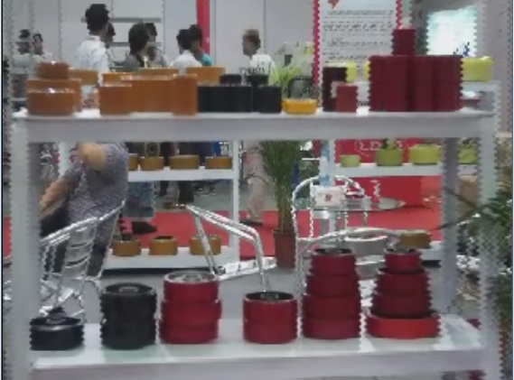 超洋在第九届广州国际品牌叉车展会上