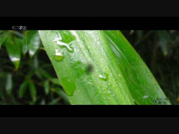 中力公司宣传片